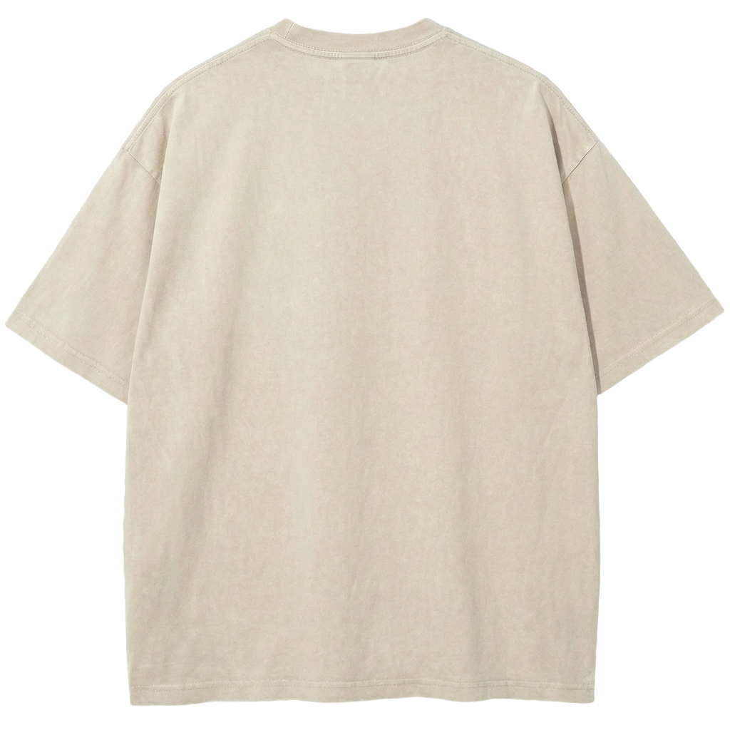 USA 250 Poster Tee